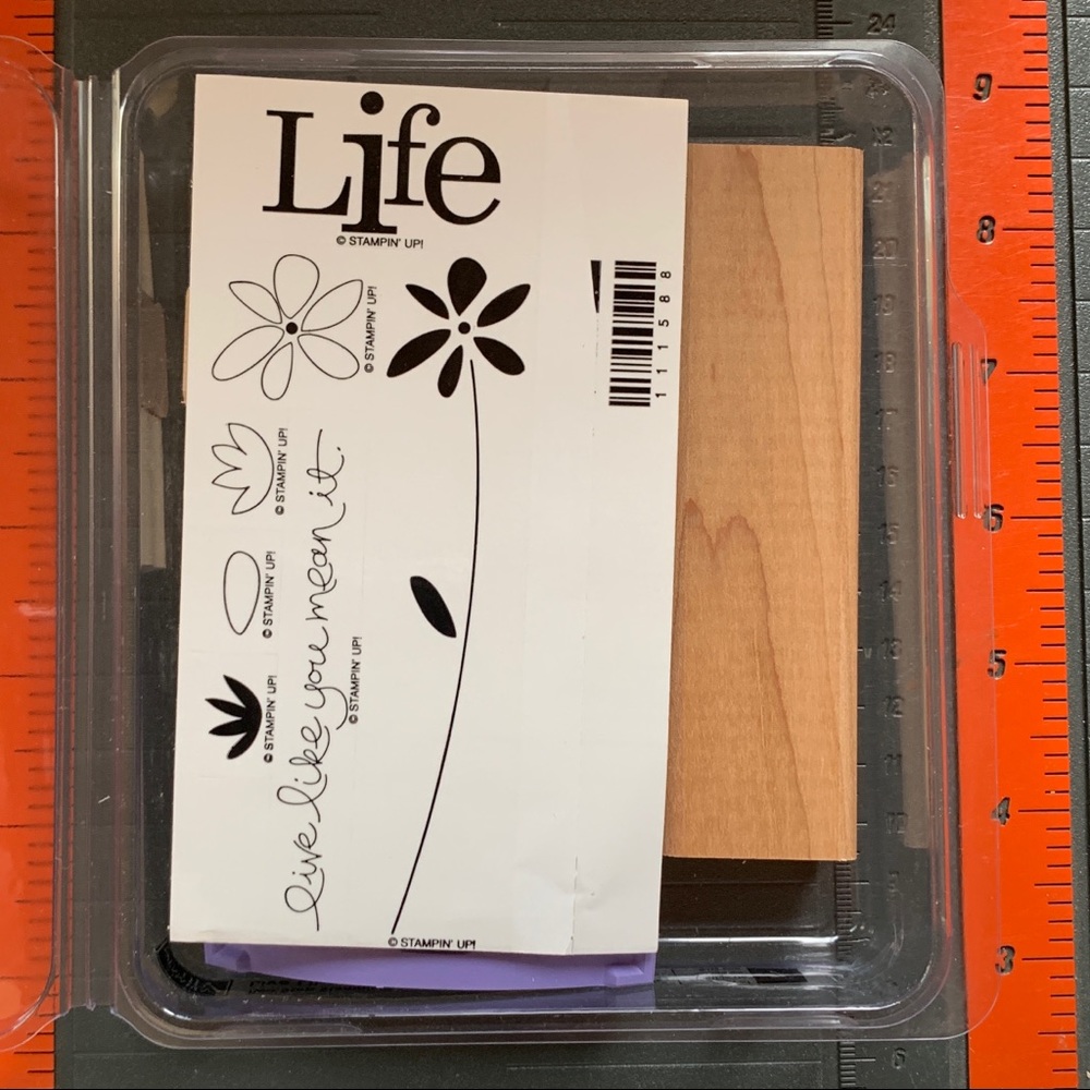 Stampin Up LIVE LIKE YOU MEAN IT